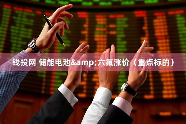 钱投网 储能电池&六氟涨价（重点标的）