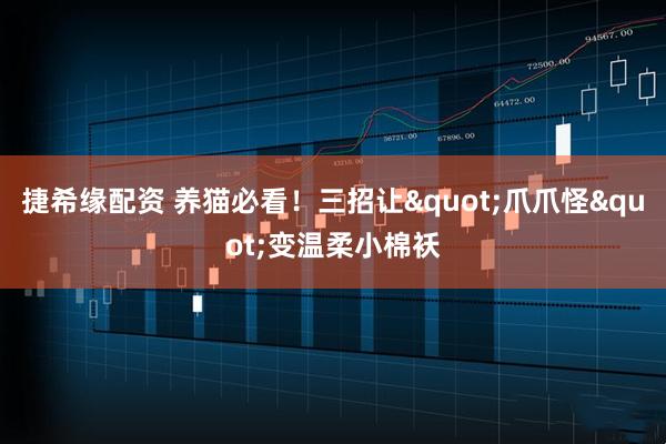 捷希缘配资 养猫必看！三招让&quot;爪爪怪&quot;变温柔小棉袄