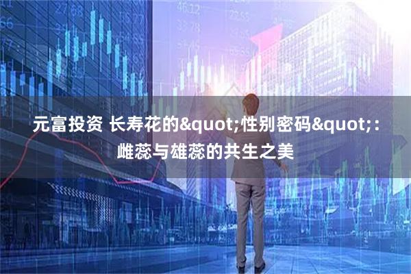 元富投资 长寿花的&quot;性别密码&quot;：雌蕊与雄蕊的共生之美