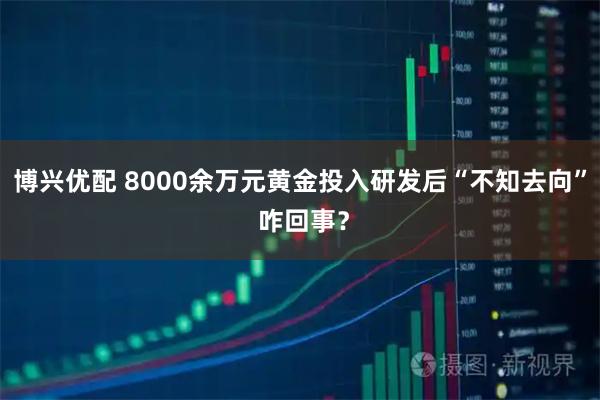 博兴优配 8000余万元黄金投入研发后“不知去向” 咋回事？