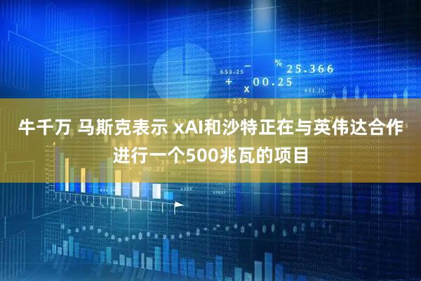 牛千万 马斯克表示 xAI和沙特正在与英伟达合作进行一个500兆瓦的项目