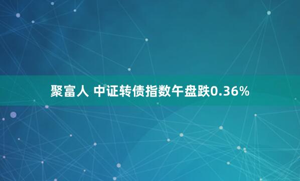 聚富人 中证转债指数午盘跌0.36%
